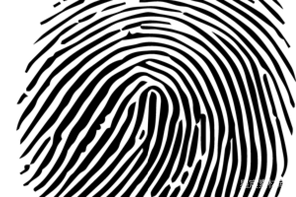 元素素材 指纹