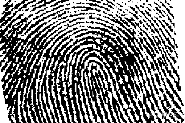 元素素材 指纹