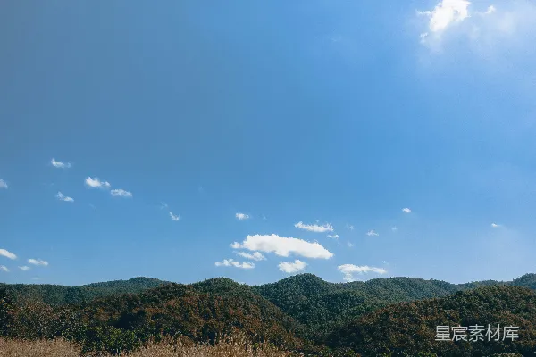 高清摄影 背景中有树木的草地区域