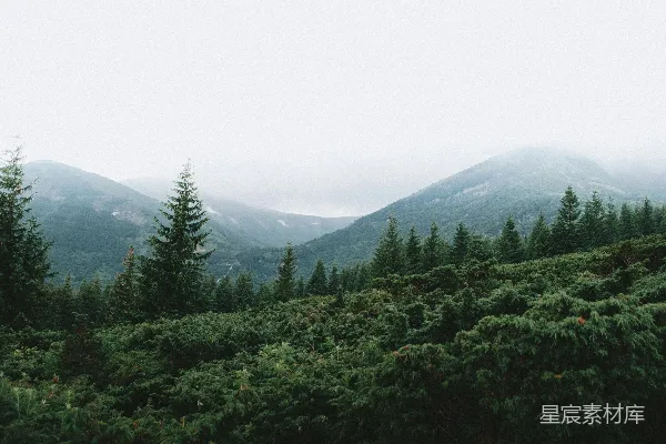 高清摄影 绿树青山的风景摄影