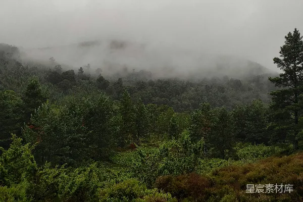 高清摄影 山中绿树映衬着白天的白云