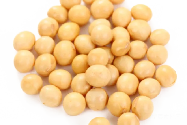 元素素材 黄豆散堆