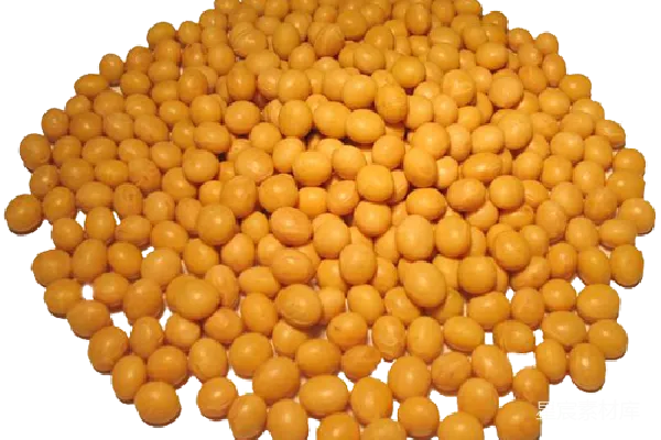 元素素材 黄豆堆