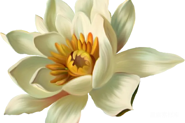 元素素材 莲花