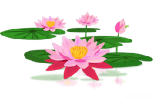 元素素材 莲花