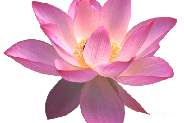 元素素材 水