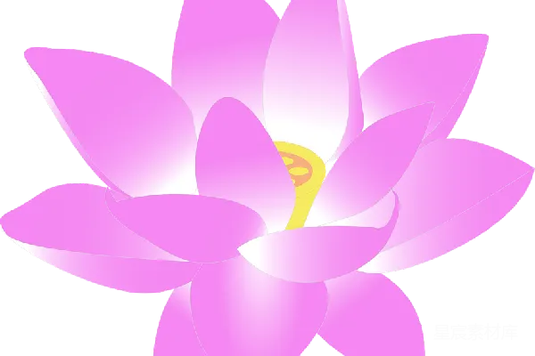 元素素材 莲花