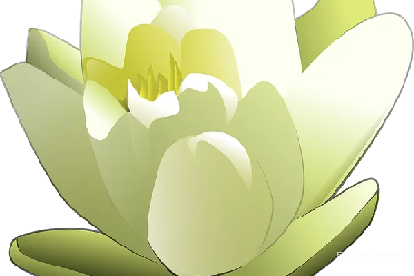 元素素材 莲花