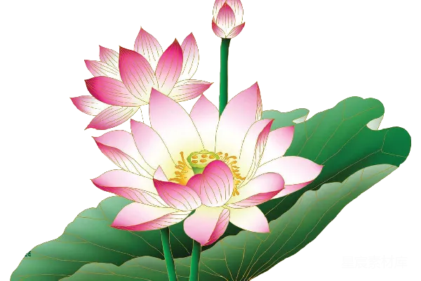 元素素材 莲花