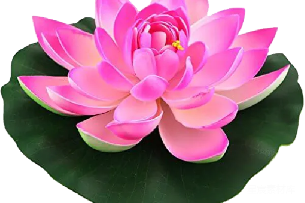 元素素材 莲花