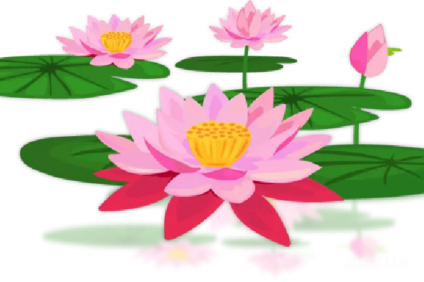 元素素材 莲花