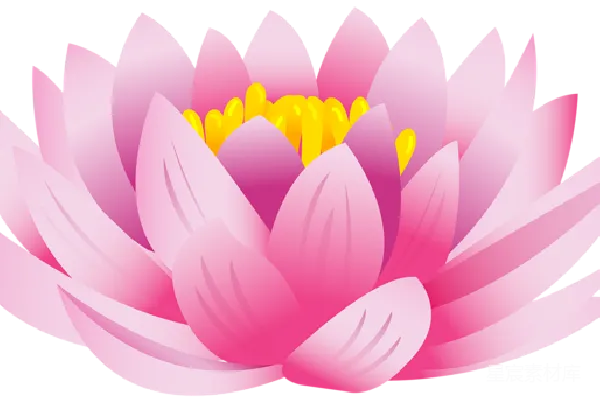 元素素材 透明