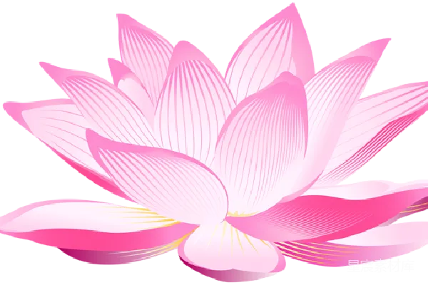 元素素材 莲花