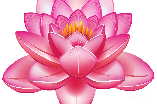 元素素材 莲花