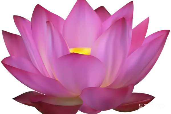 元素素材 莲花