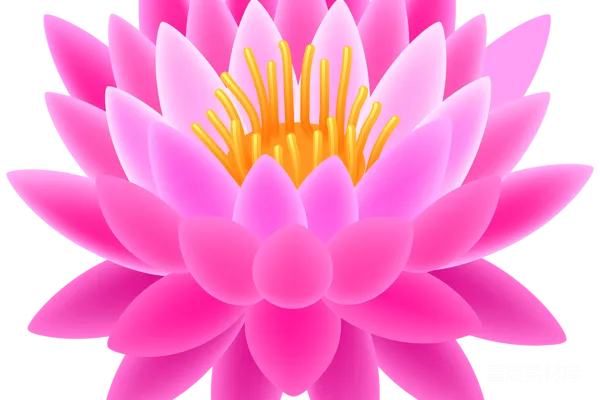 元素素材 莲花