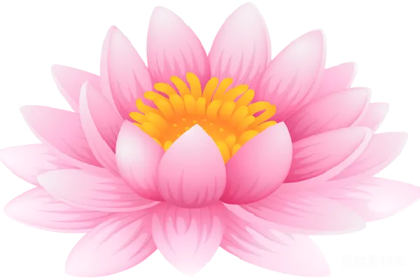 元素素材 莲花