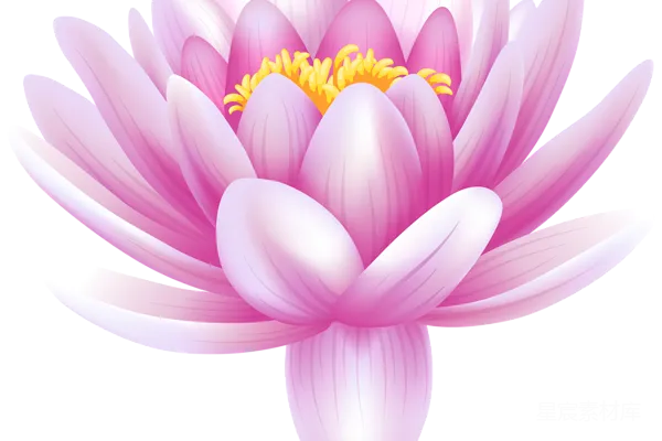 元素素材 莲花