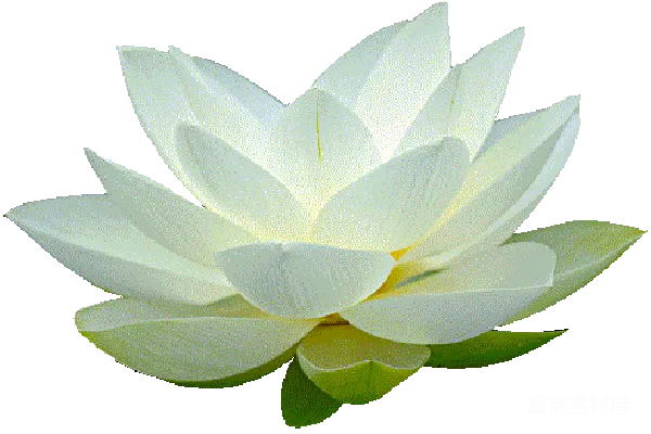 元素素材 透明