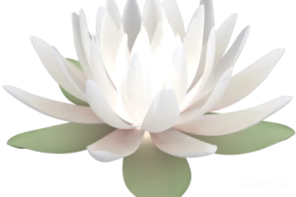 元素素材 莲花