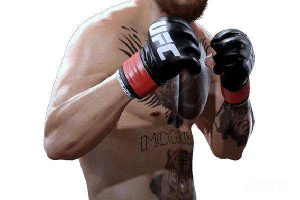 元素素材 UFC