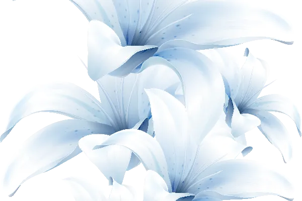 元素素材 莉尔姆