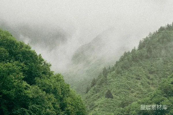 高清摄影 雾蒙蒙的山，树木葱茏