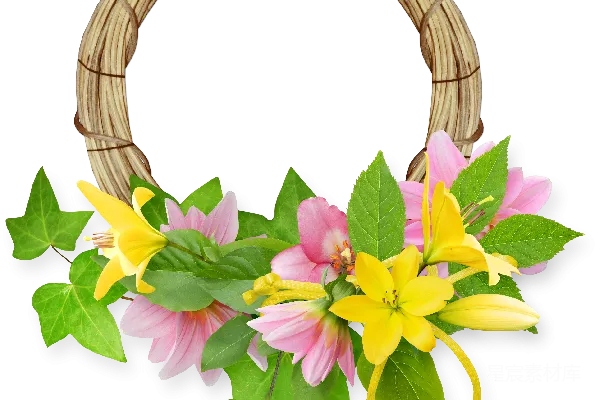 元素素材 花卉