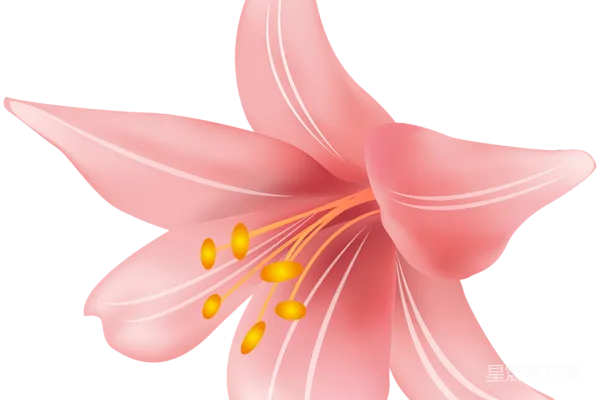 元素素材 里尔姆