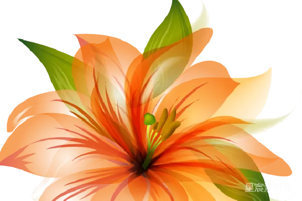 元素素材 橙色抽象花卉艺术插图