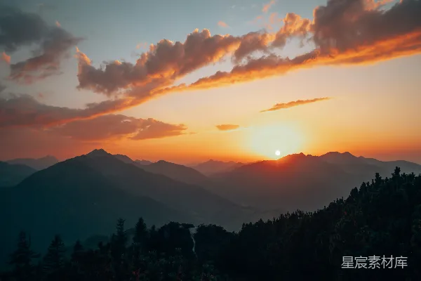 高清摄影 夕阳下的树影轮廓