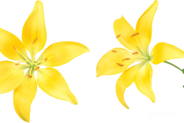 元素素材 利尔马尔