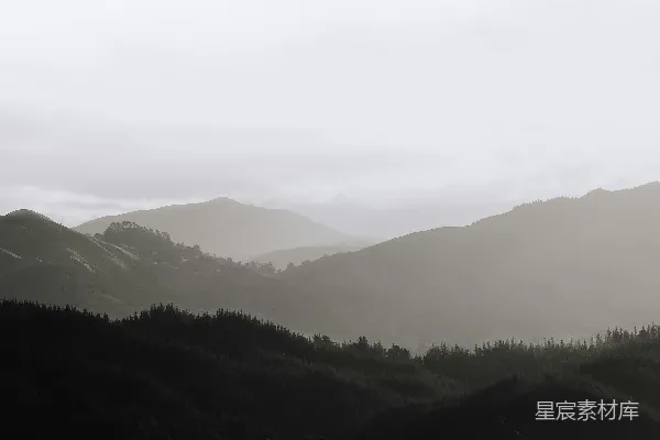 高清摄影 森林下的雾气