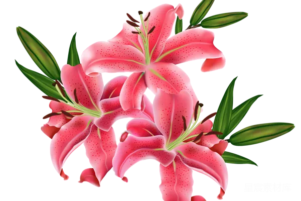 元素素材 透明