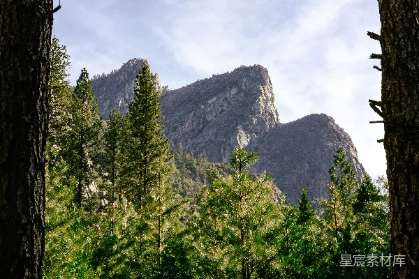 高清摄影 透过一些树木看去的山景