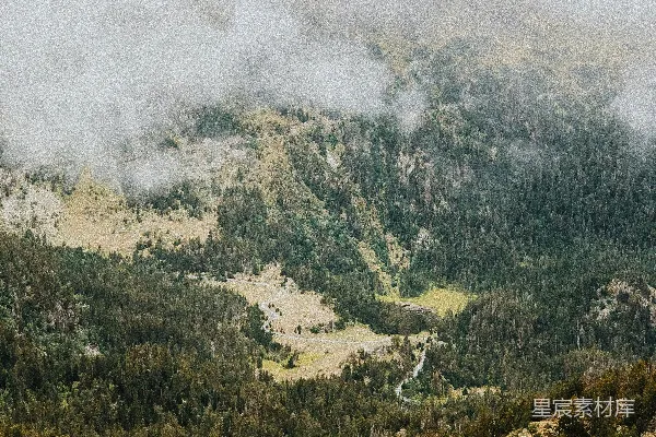 高清摄影 山上的树