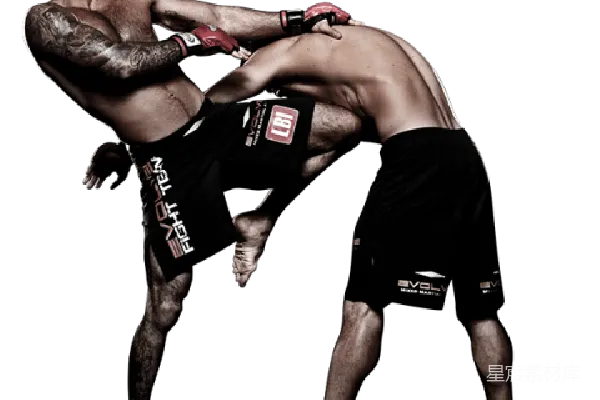 元素素材 UFC