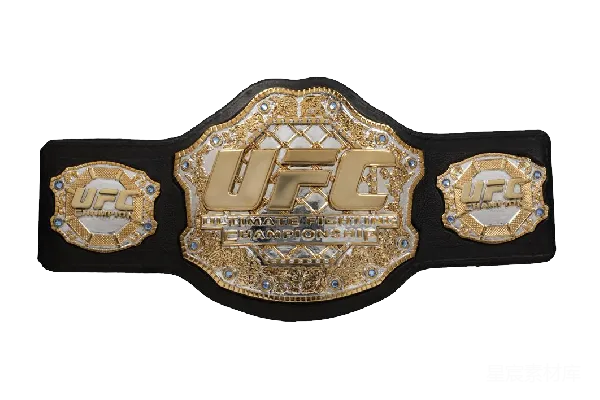 元素素材 UFC