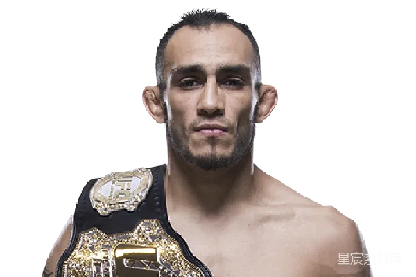元素素材 UFC