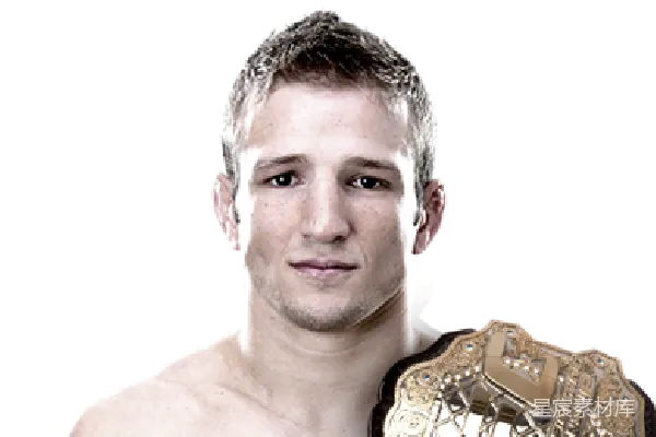 元素素材 UFC