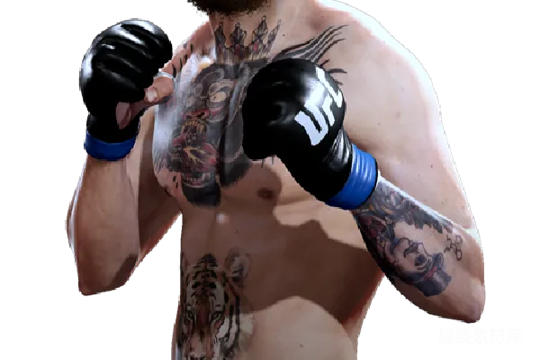 元素素材 UFC