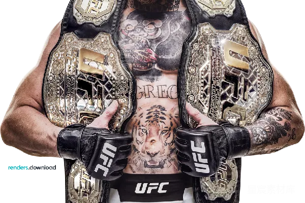 元素素材 UFC