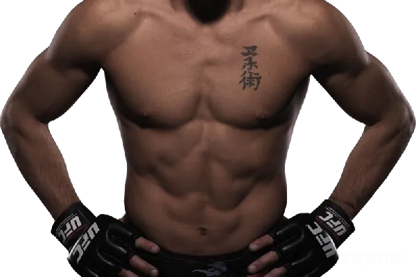 元素素材 UFC