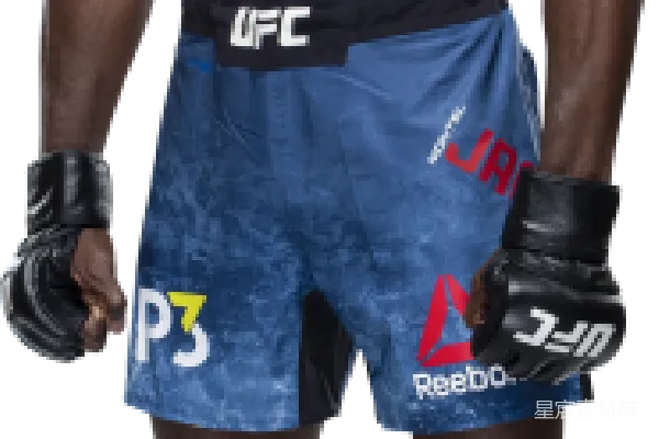 元素素材 站立姿势的UFC选手