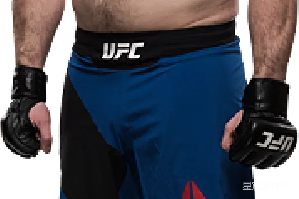 元素素材 UFC