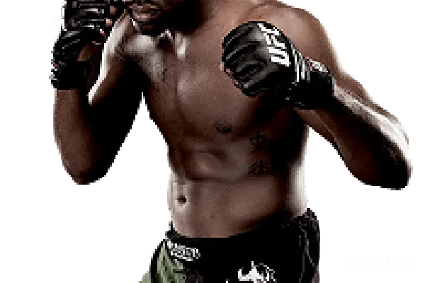 元素素材 UFC