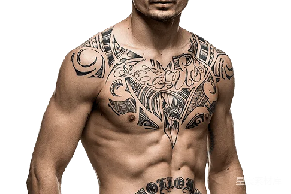 元素素材 UFC