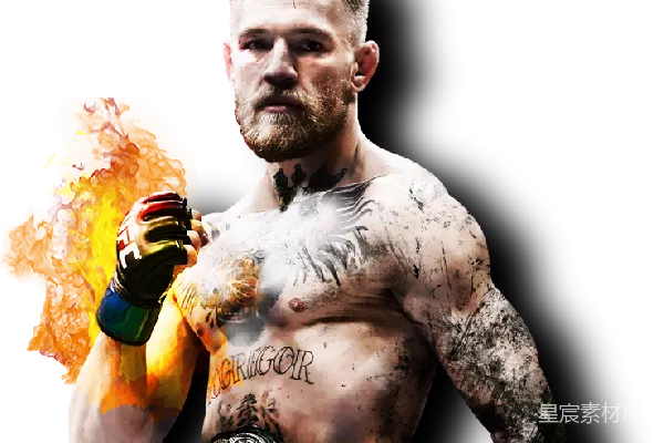 元素素材 UFC