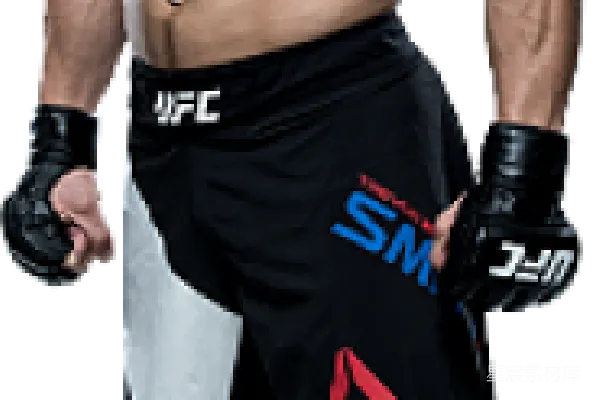 元素素材 UFC