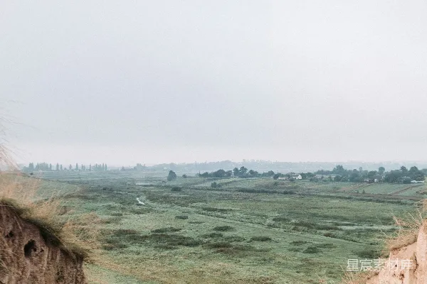 高清摄影 白天草地上方靠近水面的地方